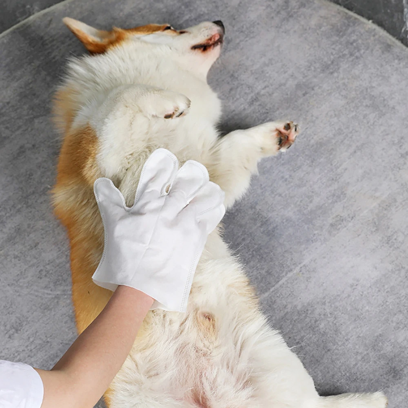 Guante antibacteriano para el cuidado de mascotas