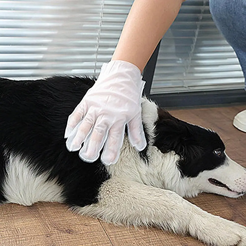 Guante antibacteriano para el cuidado de mascotas