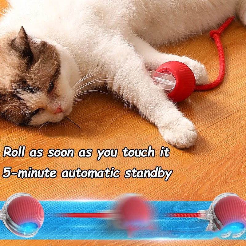 Juguete interactivo para gatos FelineBall 