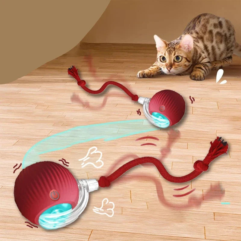 Juguete interactivo para gatos FelineBall 