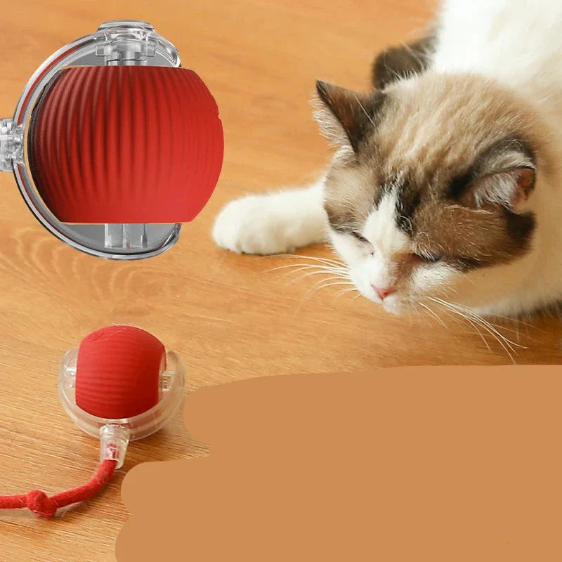 Juguete interactivo para gatos FelineBall 