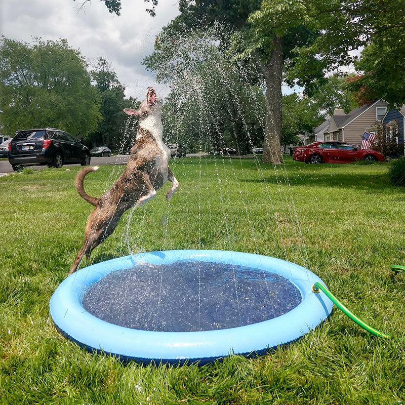 Piscina inflable para mascotas